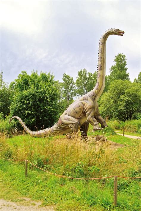  Diplodocus 2025 must-see